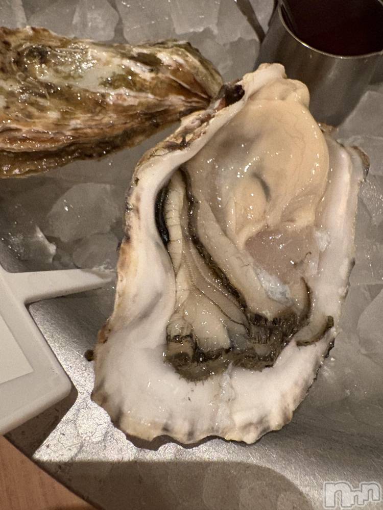 ʥå륺СʥåBar Peace(ʥåС ԡ) ޤʤ126̥֥🦪🦪( '-' 🦪 )