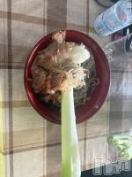 ����������ʥå��������륺�С����ʥå�Bar Peace(���ʥå��С� �ԡ���) �ޤʤ�9��21���̥�֥����֤ͤ����С�
