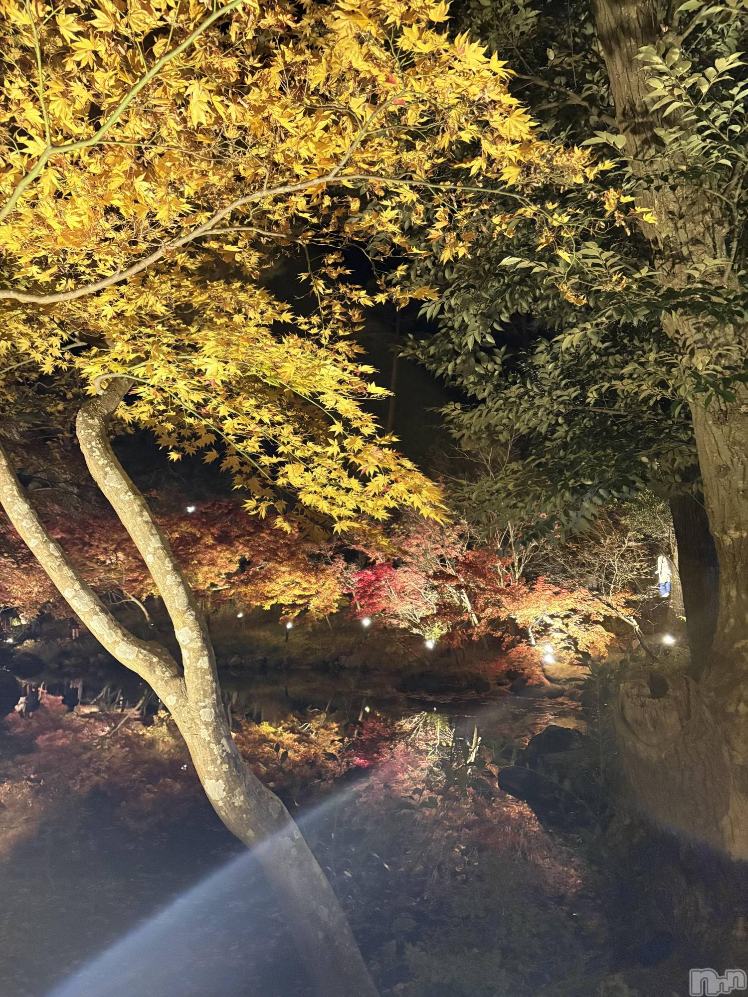 ʥå륺СʥåBar Peace(ʥåС ԡ) 2025ǯ1120̥֥🍁