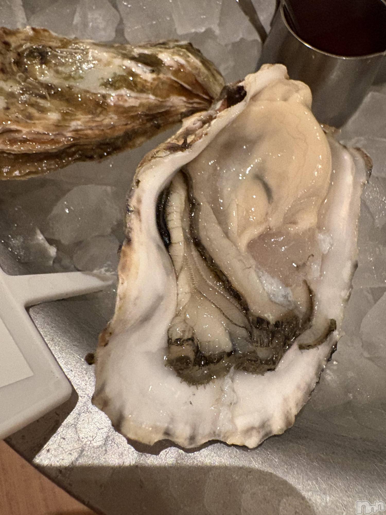 ʥå륺СʥåBar Peace(ʥåС ԡ) 2025ǯ126̥֥🦪🦪( '-' 🦪 )