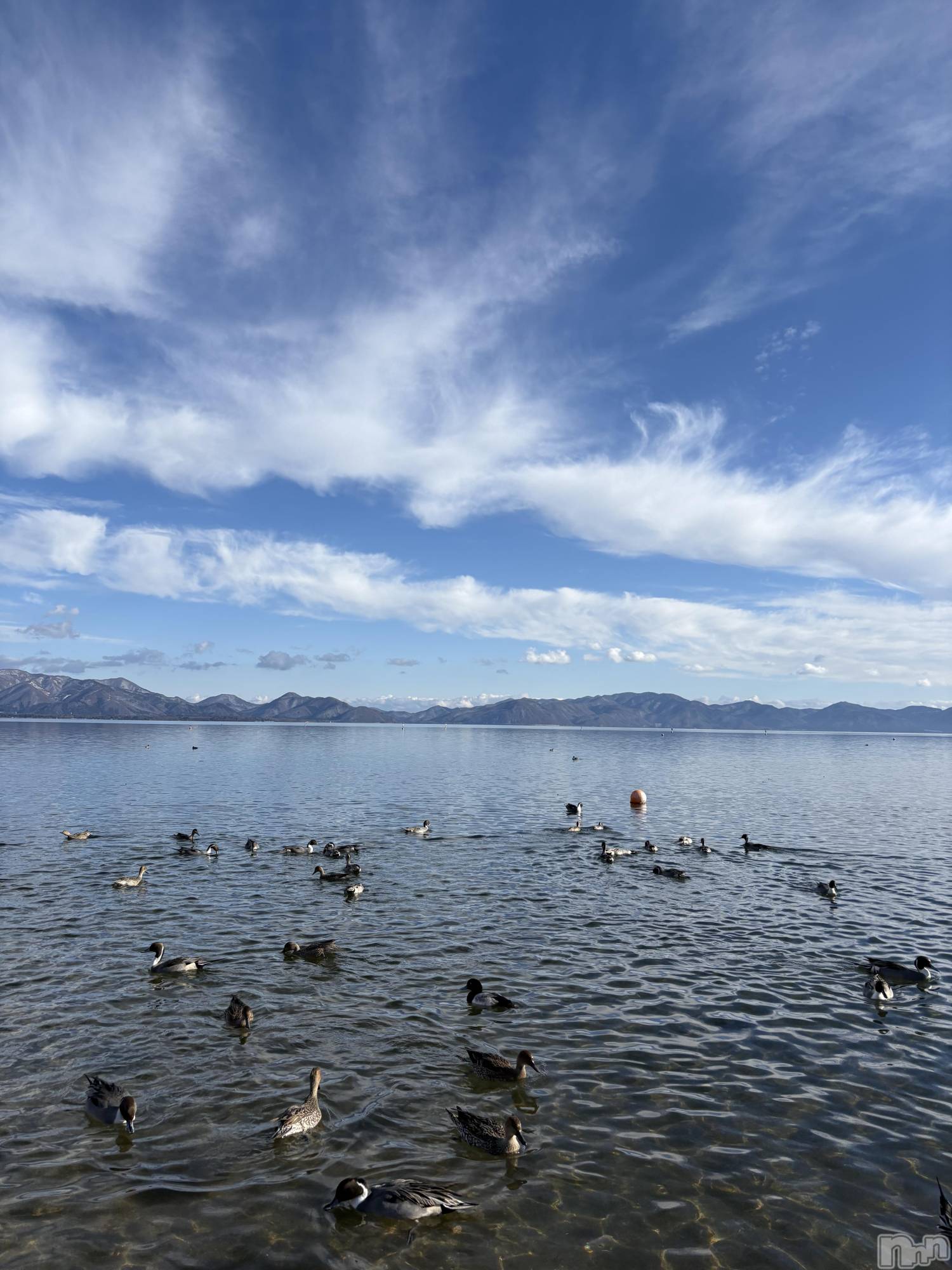 ����������ʥå��������륺�С����ʥå�Bar Peace(���ʥå��С� �ԡ���) ��2025ǯ12��30���̥�֥����֤��꤬�Ȥ��������ޤ���������