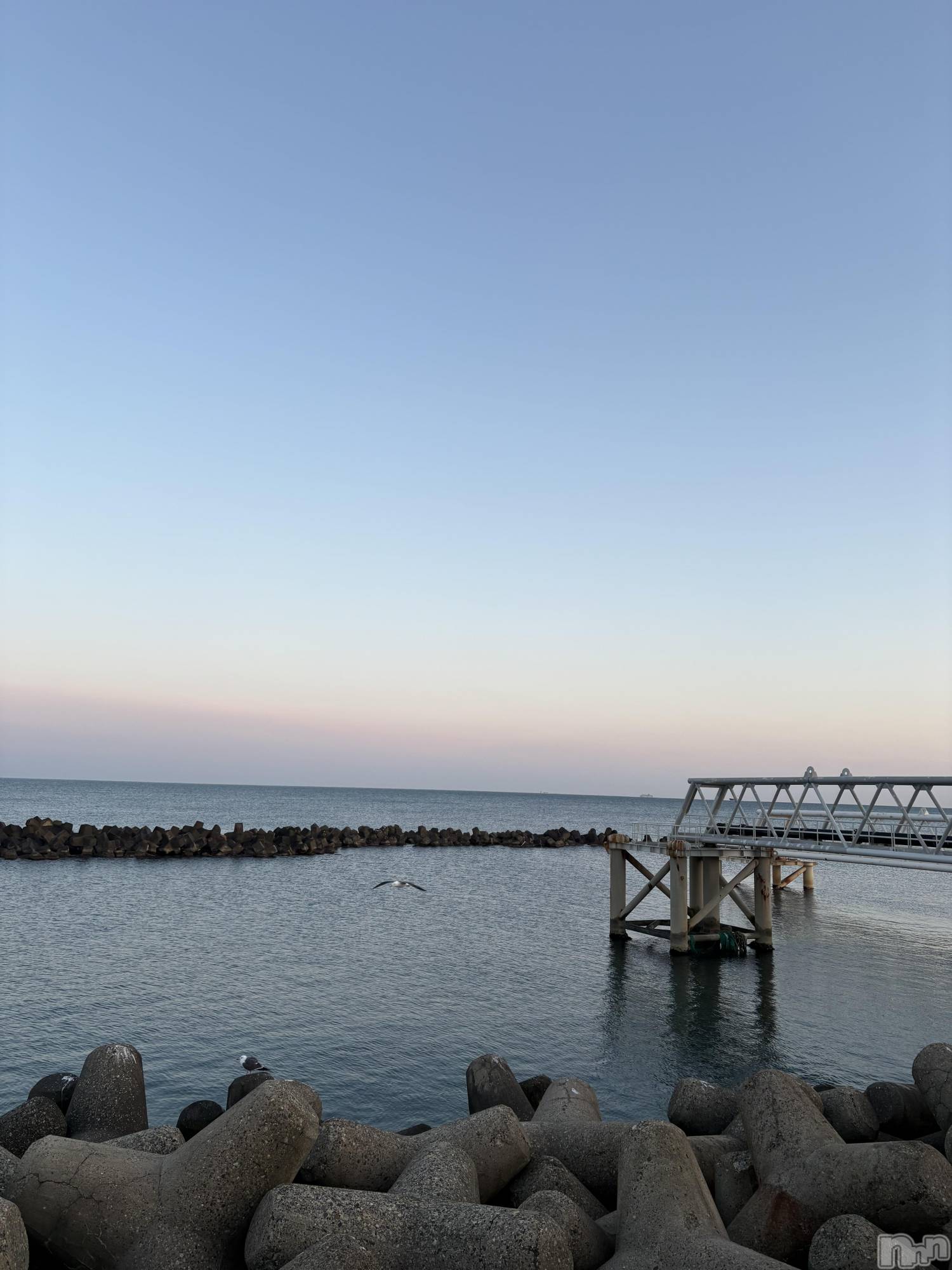 ����������ʥå��������륺�С����ʥå�Bar Peace(���ʥå��С� �ԡ���) ��2026ǯ2��24���̥�֥�����☀️��