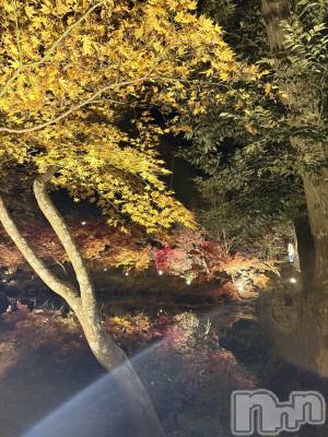 ʥå륺СʥåBar Peace(ʥåС ԡ) ޤʤ1120̥֥🍁