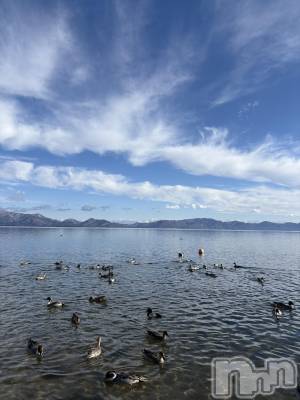 ����������ʥå��������륺�С����ʥå�Bar Peace(���ʥå��С� �ԡ���) �ޤʤ�12��30���̥�֥����֤��꤬�Ȥ��������ޤ���������