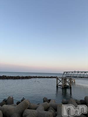 ����������ʥå��������륺�С����ʥå�Bar Peace(���ʥå��С� �ԡ���) �ޤʤ�2��24���̥�֥�����☀️��