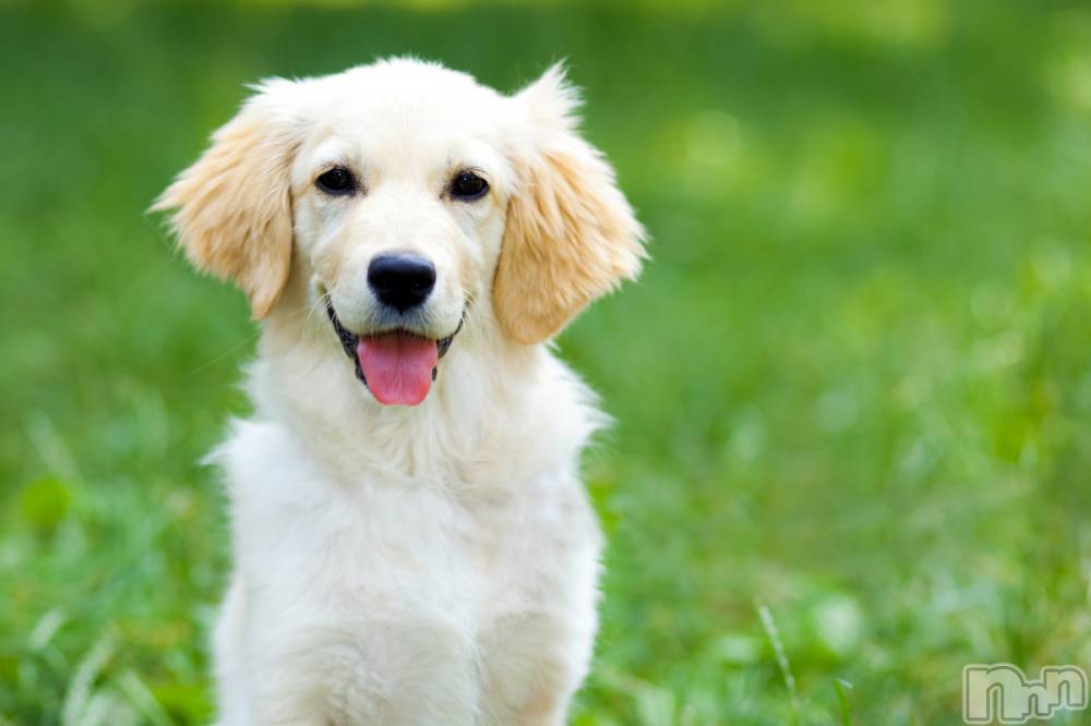 ����������ʥå��������륺�С����饪���ϥ��ܡ���bar���ͻ���(���饪���ϥ��ܡ���С��ӥ��󥷥ޥ�) ������1��8���̥�֥����ֽжС�