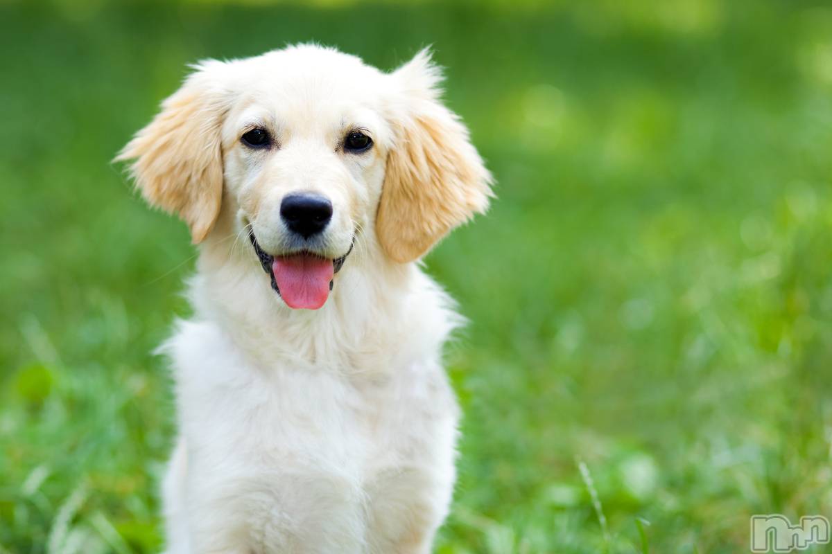 ����������ʥå��������륺�С����饪���ϥ��ܡ���bar���ͻ���(���饪���ϥ��ܡ���С��ӥ��󥷥ޥ�) ��2026ǯ1��8���̥�֥����ֽжС�