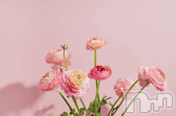 長岡デリヘルROOKIE(ルーキー)るり☆プラチナ(23)の2025年7月24日写メブログ「7/23お礼🤍💌」