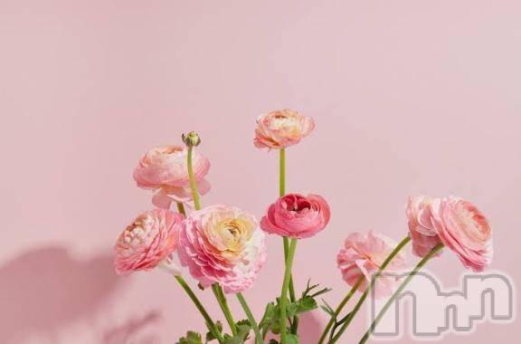 長岡デリヘルROOKIE(ルーキー)るり☆プラチナ(23)の2025年7月27日写メブログ「7/26お礼🤍💌」