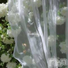 長岡デリヘルROOKIE(ルーキー) るり☆プラチナ(23)の10月12日写メブログ「10/11お礼🌼」