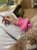 ʥå륺СCHUNLUU(롼) 76̥֥76 2000ʬΥ֥
