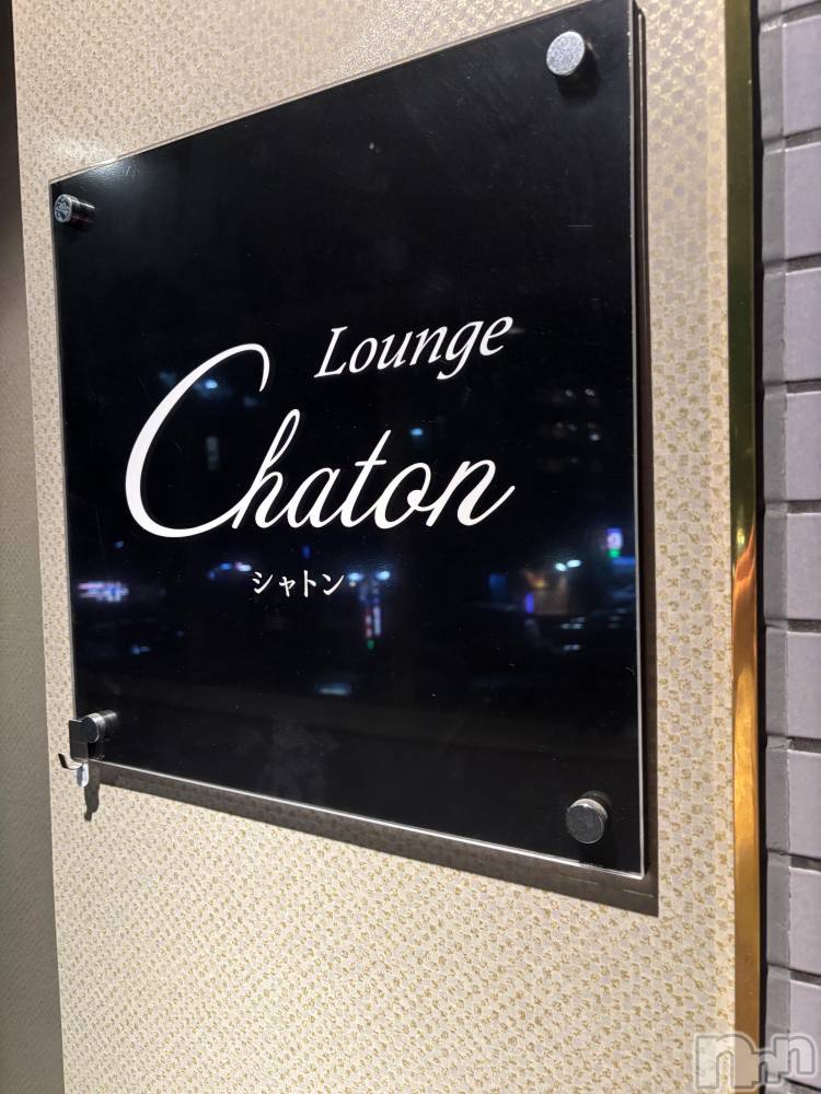 Ʋʥå륺СLounge Chaton(饦󥸥ȥ) 711̥֥711 1948ʬΥ֥