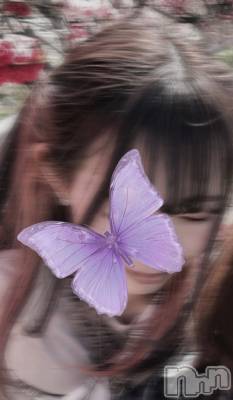 ī�� ��� ǯ��ҥߥ� / ��Ĺ�ҥߥ�