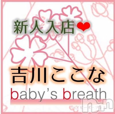 㡦ȯĥꥢ󥺥baby's breath(٥ӡ ֥쥹) ʡڿۤ͡625̥֥֤ˤʤǤ