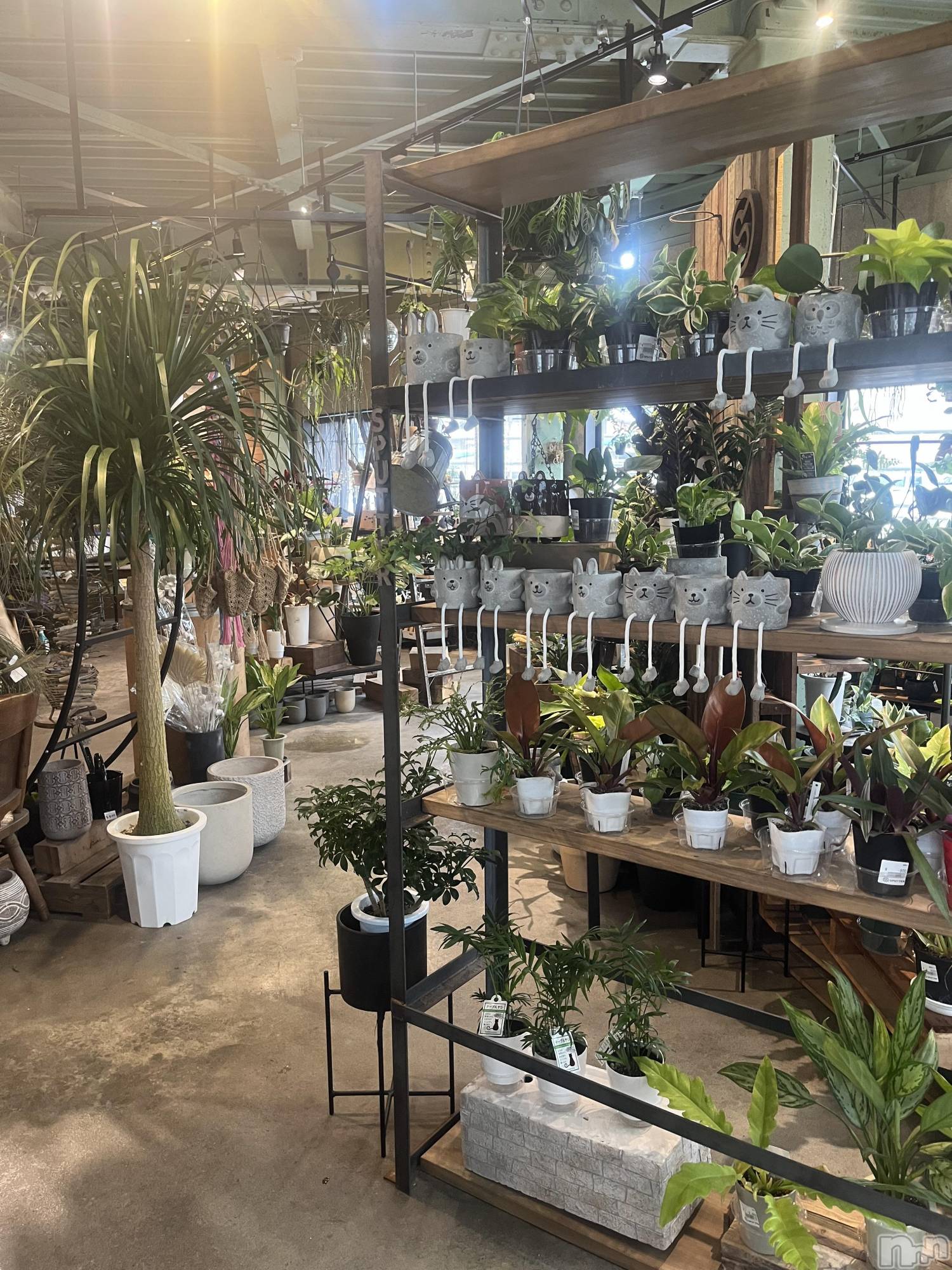 �������������Х��顦�����CLUB Reve-�졼��-(����֥졼��) ��2026ǯ1��28���̥�֥�����🪴🌵🌴🌿��