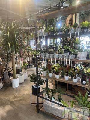 �������������Х��顦�����CLUB Reve-�졼��-(����֥졼��) ����ʤ�1��28���̥�֥�����🪴🌵🌴🌿��