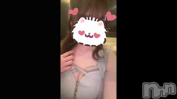 �ֺ����Ϸ������🌕��