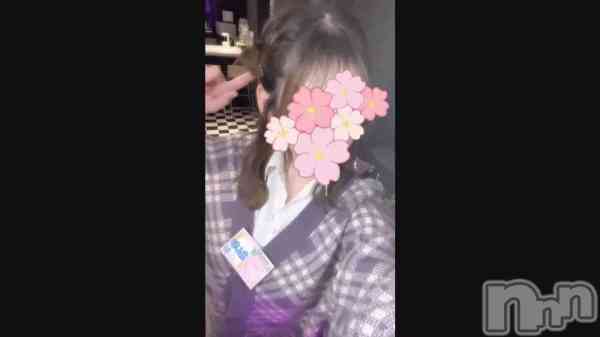 ����ʡ�🌸��