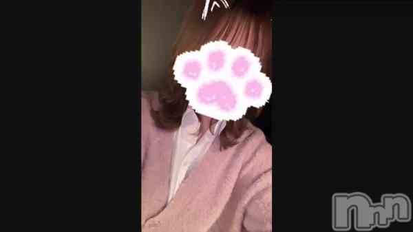 ����ʡ֤ʤ���������������