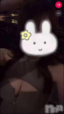 ���ޤˤ�ư��😽