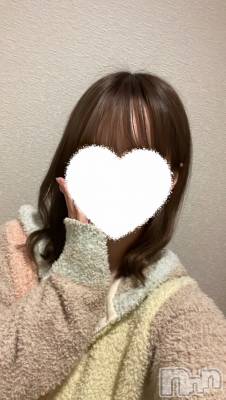 ߤ餤(ҥߥ) Ĺҥߥġʥå륺С Girls Bar Philia(륺Сեꥢ)ҡ
