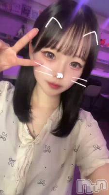 �ˤ塼��������