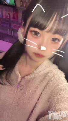 �ˤ塼��������