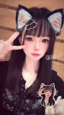�顼���(ᴖ ̫ᴖ  )��