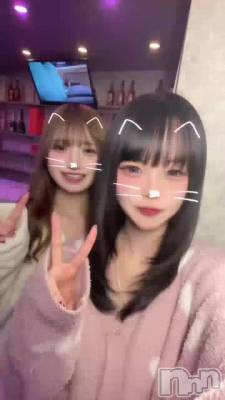 ������Ʊ��