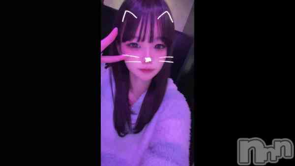 �ֿ�����ž��