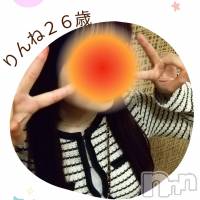 (26) Ĺ163cmĹ襳ѥ˥󥯥 ѥ˥󥯥OWL--(ѥ˥󥯥֥)ҡ