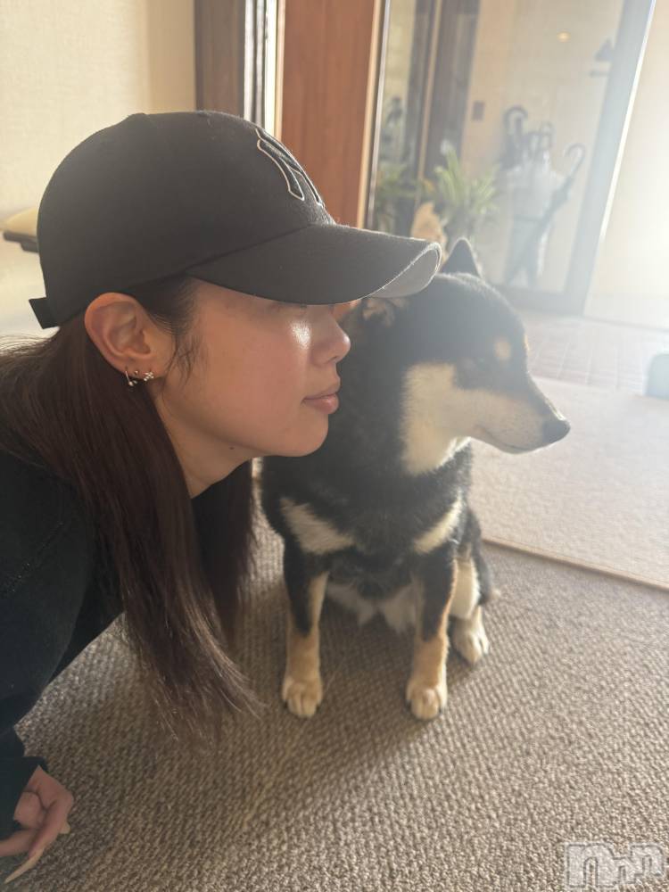 Ĺ���Х��顦�����Lounge Louis(�饦�󥸥륤) ��ʤ�2��4���̥�֥����֤����ͤ�ȵפ��֤�ʥ����ʡ�