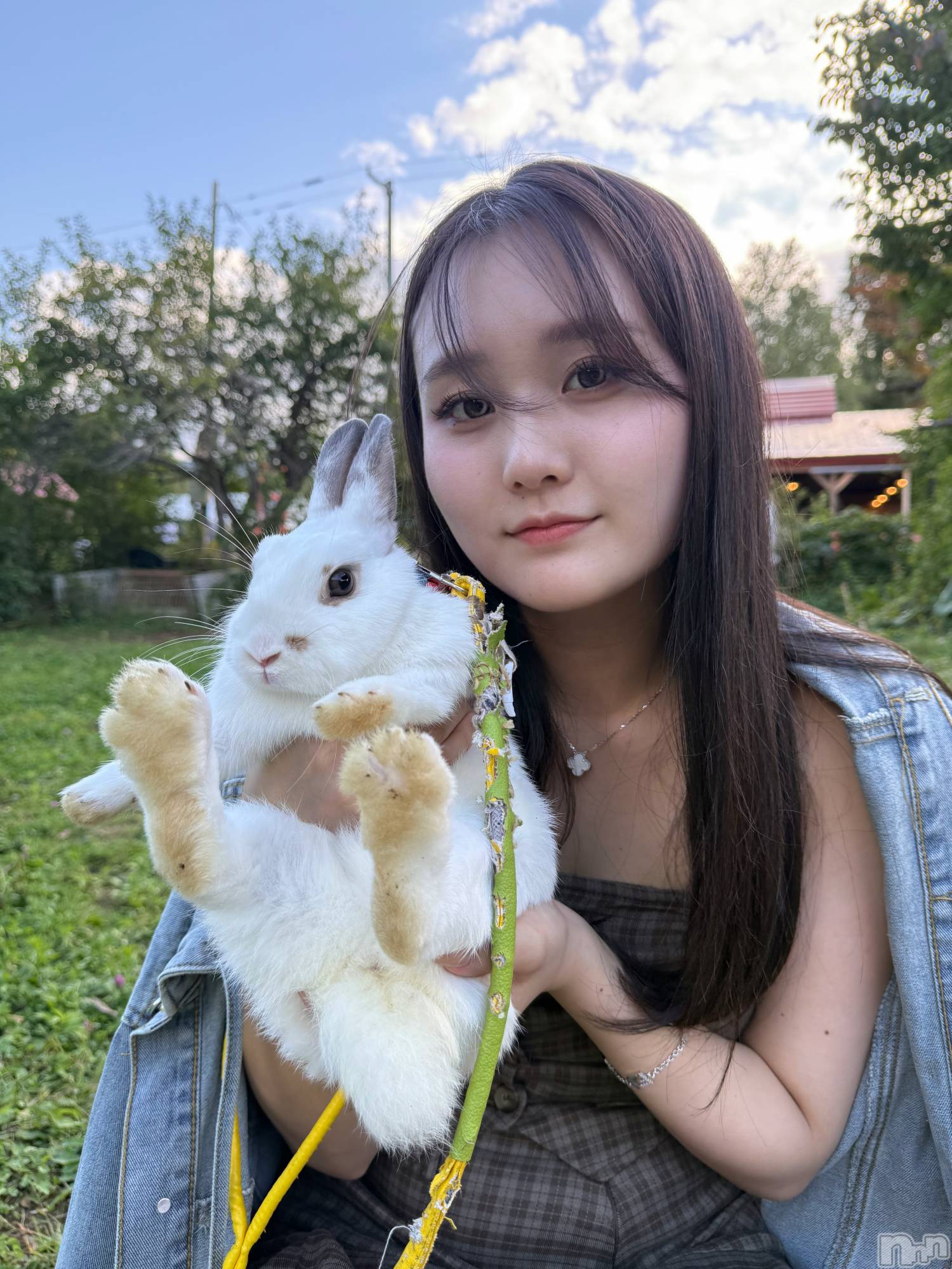 ĹХ顦Lounge Louis(饦󥸥륤) 2025ǯ1011̥֥ưʪ🐰🤍