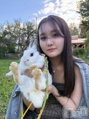 ĹХ顦Lounge Louis(饦󥸥륤) (23)1011̥֥ưʪ🐰🤍