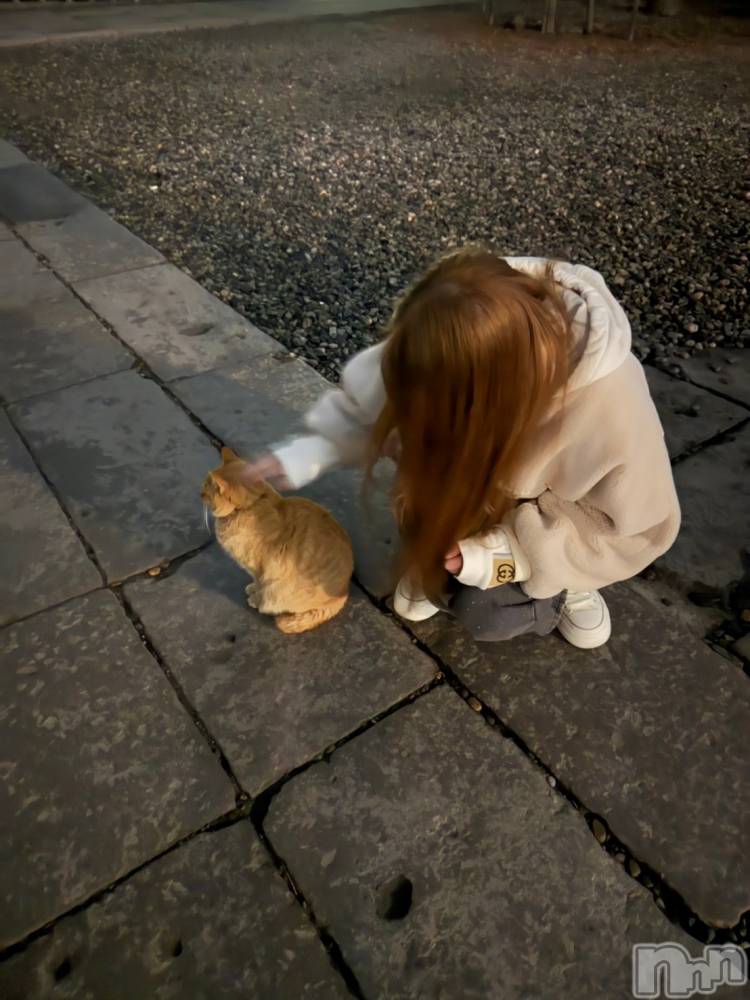 ��ˬ����Х��顦�����CLUB K����Prologue��(����֥���) �ߤʤ�9��4���̥�֥����ֹ�������������