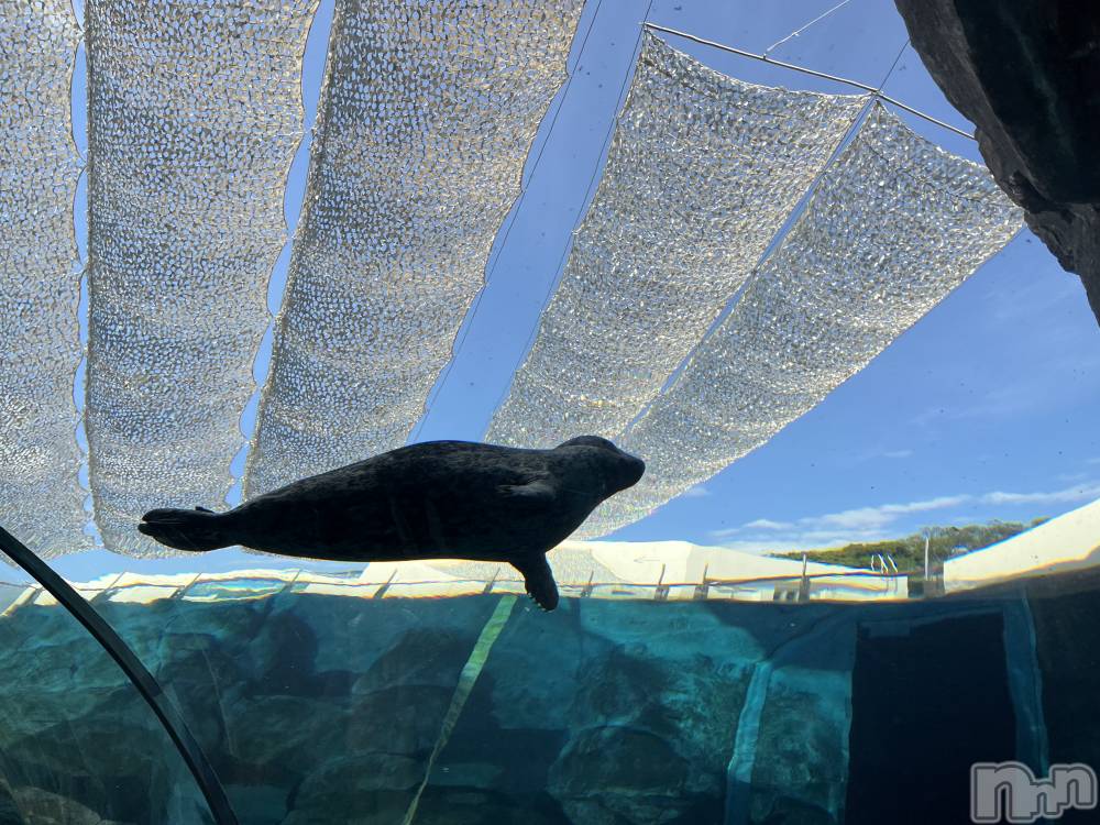 ��ˬ����Х��顦�����CLUB K����Prologue��(����֥���) �ߤʤ�1��17���̥�֥����֤��ɿȿ��٤�����