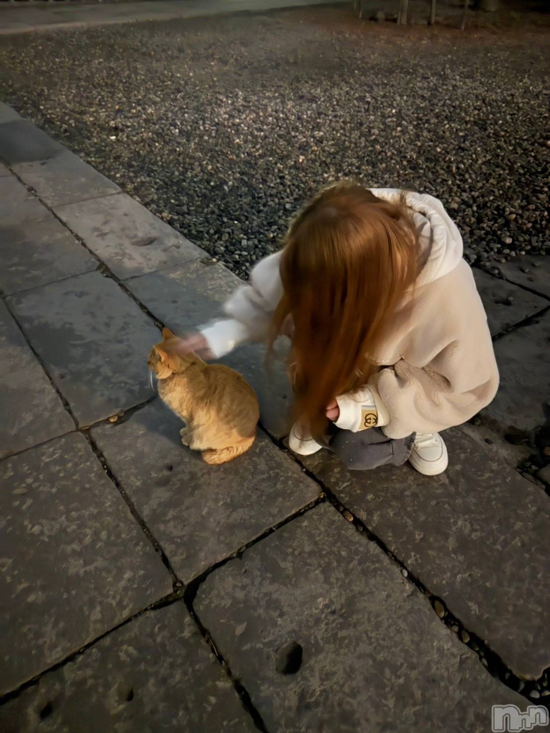 ��ˬ����Х��顦�����CLUB K����Prologue��(����֥���) ��2025ǯ9��4���̥�֥����ֹ�������������