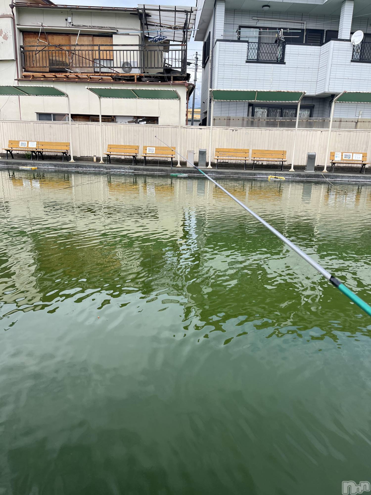 ��ˬ����Х��顦�����CLUB K����Prologue��(����֥���) ��2026ǯ1��11���̥�֥����ֹԤ������ʤ�🎣��