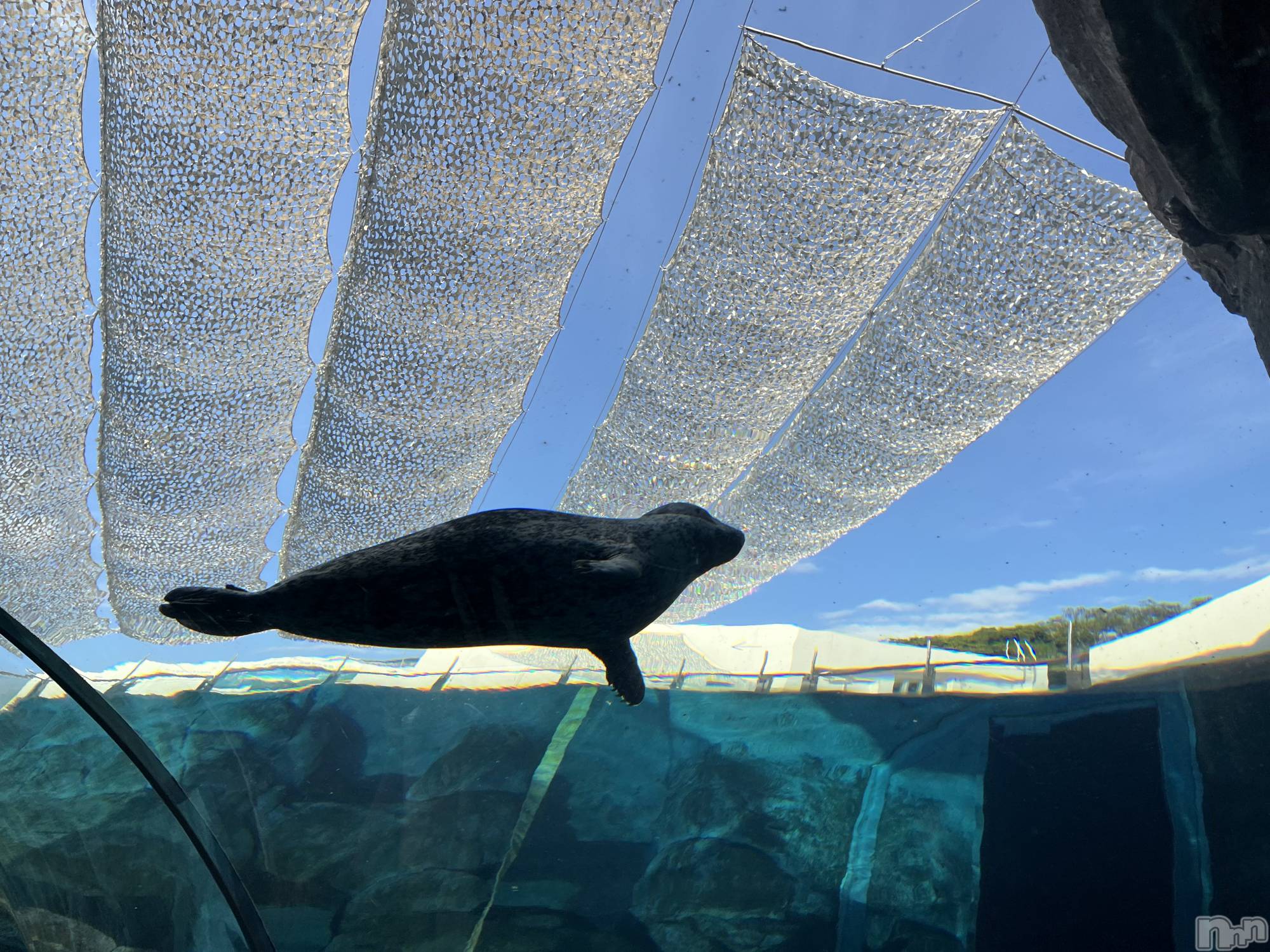 ��ˬ����Х��顦�����CLUB K����Prologue��(����֥���) ��2026ǯ1��17���̥�֥����֤��ɿȿ��٤�����