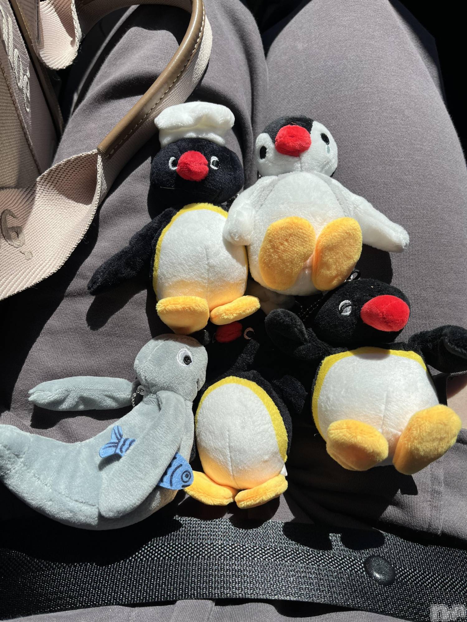 ��ˬ����Х��顦�����CLUB K����Prologue��(����֥���) ��2026ǯ3��17���̥�֥����֤�ͧã����