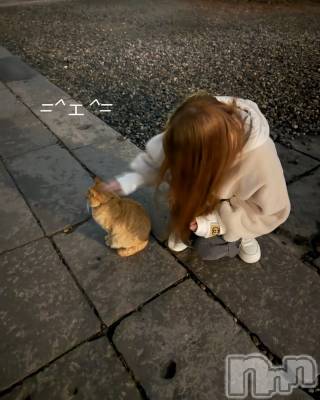 ��ˬ����Х��顦�����CLUB K����Prologue��(����֥���) �ߤ�(28)��7��25���̥�֥����֤ޤ���ꤿ���ʤá�