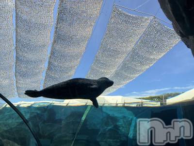 ��ˬ����Х��顦�����CLUB K����Prologue��(����֥���) �ߤ�(28)��1��17���̥�֥����֤��ɿȿ��٤�����