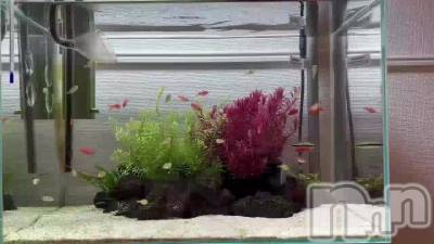 ���Ȥο���