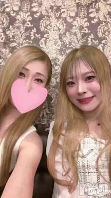 �줷�����Ƽ�