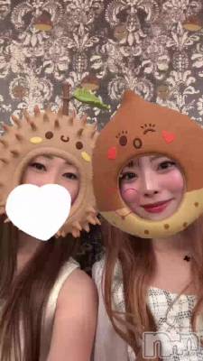 ������ȷ�🌰��