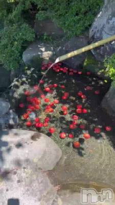 ����դ������ʤ�⛳️ˊ˗  