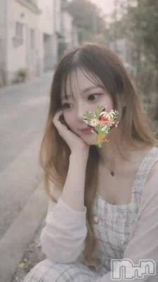 ɿ����������