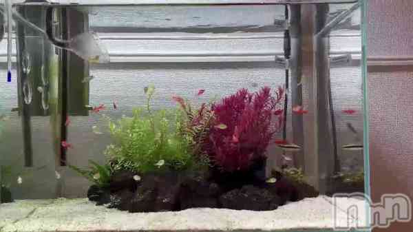 �֤��Ȥο����