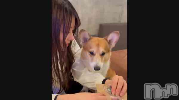 ��Ϣ�٥ϥåԡ��饤��🪄🤍��