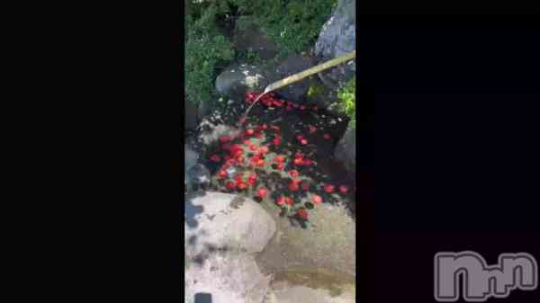 �֥���դ������ʤ�⛳️ˊ˗  ��